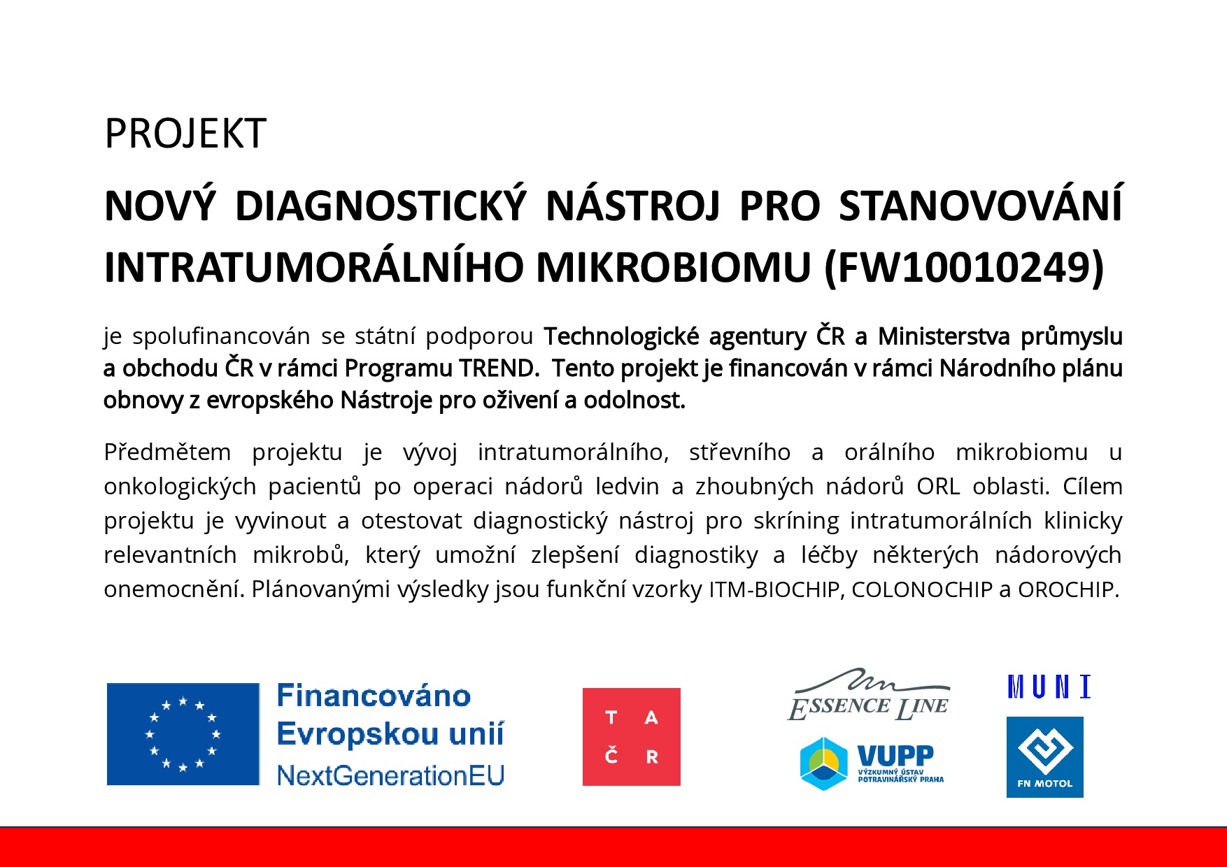ITM publicita web.pdf